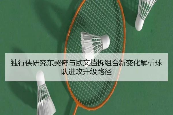 独行侠研究东契奇与欧文挡拆组合新变化解析球队进攻升级路径